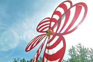 Big Money, Big Whirligig